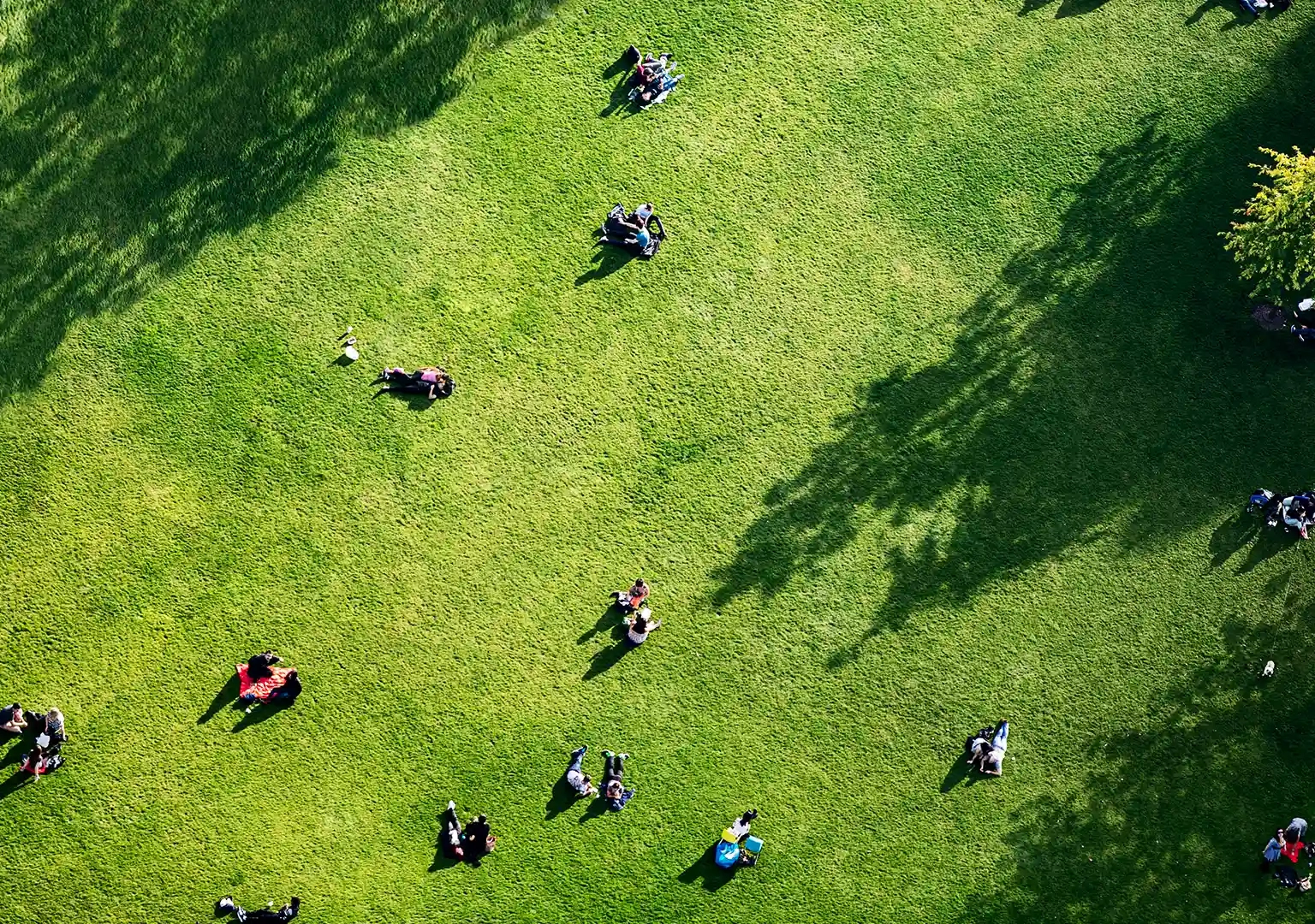 People in a green urban space seen from above