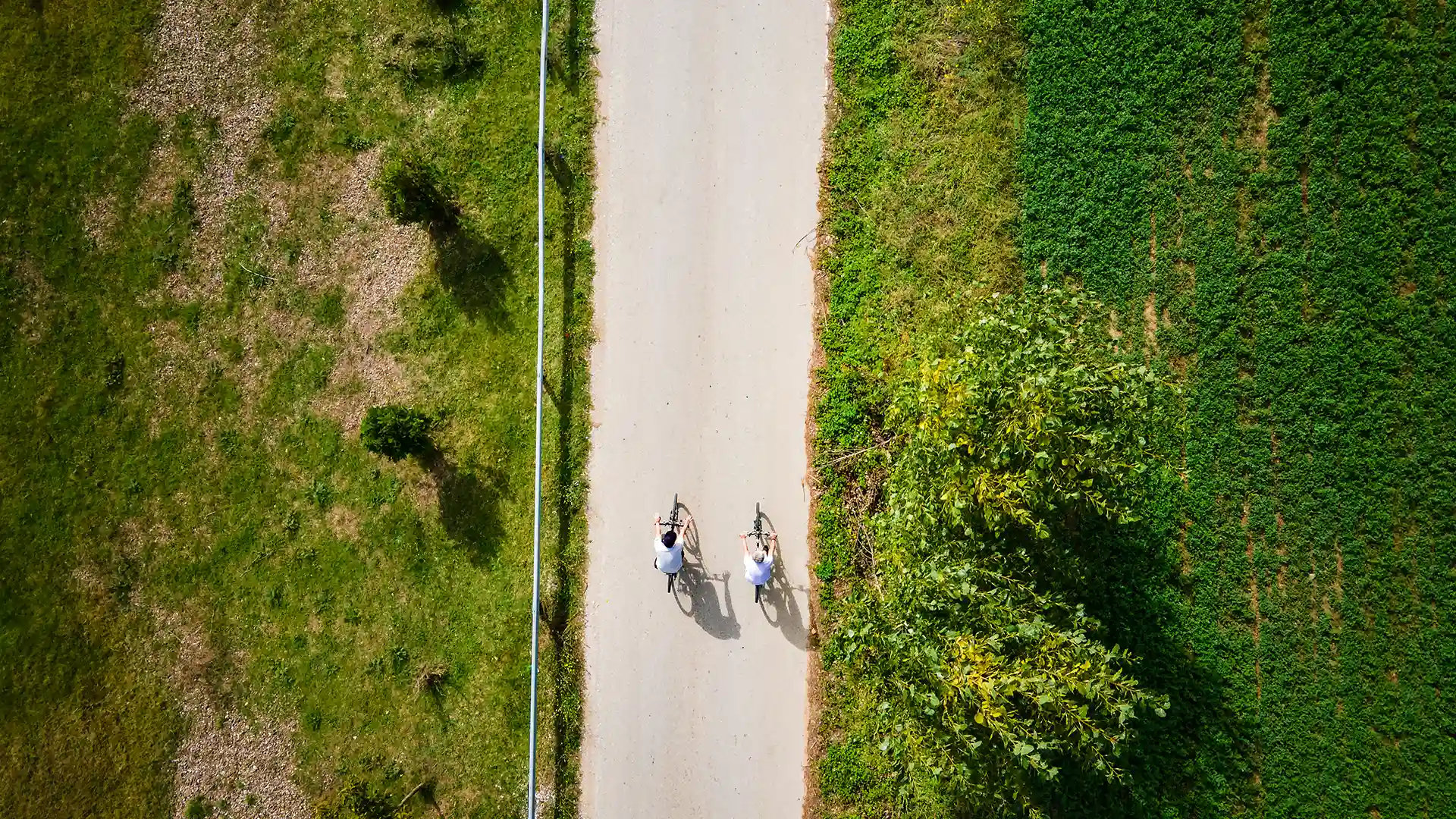 Vista dall’alto di strada immersa tra elementi naturali e urbani